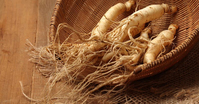 Regrow Your Brain Cells With This Ancient Red Root about undefined